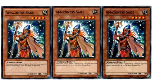 Amazoness Sage