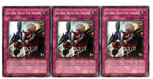 At One With the Sword