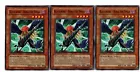 Blackwing - Bora the Spear