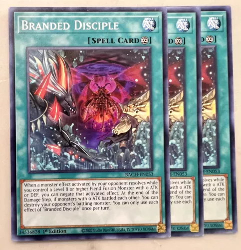 Branded Disciple