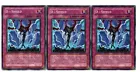 D - Shield