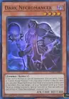 Dark Necromancer