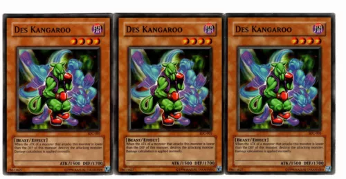 Des Kangaroo