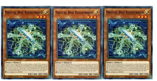 Digital Bug Registrider