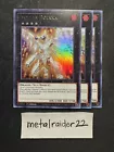 Evolzar Dolkka