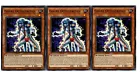 Gouki Octostretch