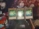 Herald of Green Light
