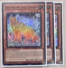 Hound of the Tistina