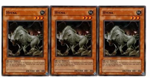 Hyena