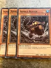 Nimble Beaver