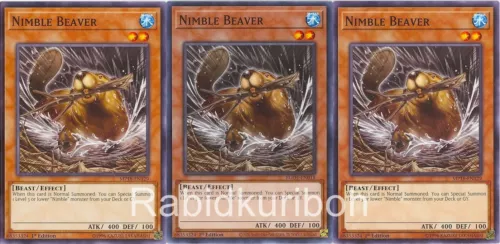 Nimble Beaver