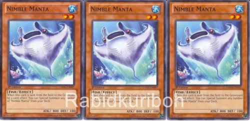 A Legendary Ocean