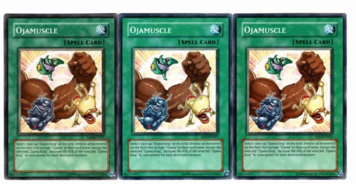 Ojamuscle