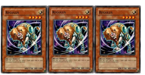 Regulus