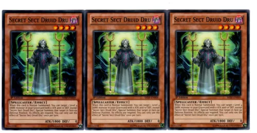 Secret Sect Druid Dru