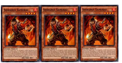 Shiranui Samurai