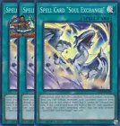Soul Exchange