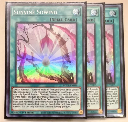 Sunvine Sowing
