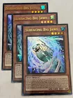 Surfacing Big Jaws