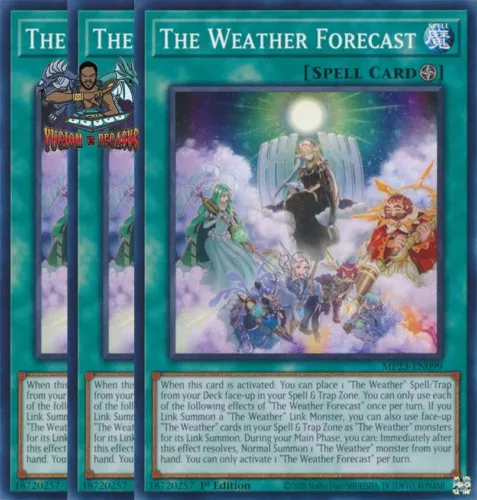 The Weather Forecast