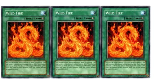 Wild Fire