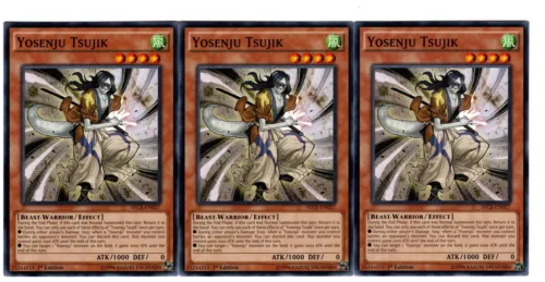 Yosenju Tsujik
