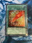 A Feather of the Phoenix