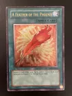 A Feather of the Phoenix