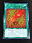 A Feather of the Phoenix