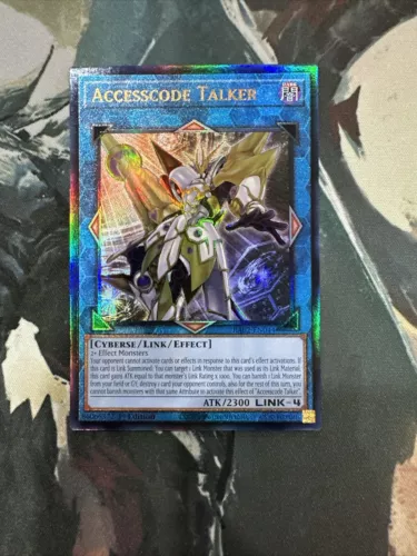 Accesscode Talker