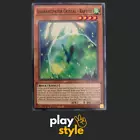 Adamancipator Crystal - Raptite