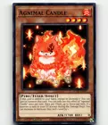 Agnimal Candle