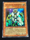 Airknight Parshath