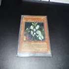 Airknight Parshath