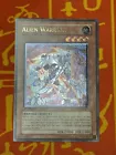 Alien Warrior