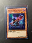 Ally of Justice Nullfier