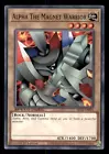 Alpha The Magnet Warrior