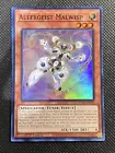 Altergeist Malwisp