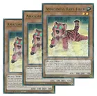 Amazoness Baby Tiger