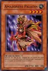 Amazoness Heirloom