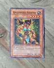 Amazoness Fighter