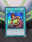 Amazoness Heirloom