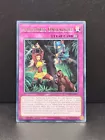 Amazoness Onslaught