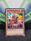 Amazoness Paladin