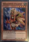 Amazoness Paladin