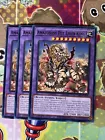 Amazoness Pet Liger King