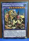 Amazoness Pet Liger