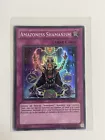 Amazoness Shamanism
