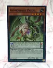 Amorphage Pride
