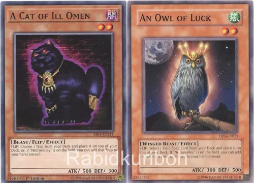 An Owl of Luck